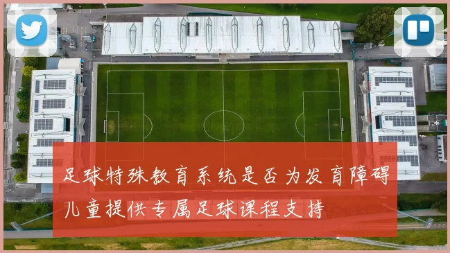 足球特殊教育系统是否为发育障碍儿童提供专属足球课程支持