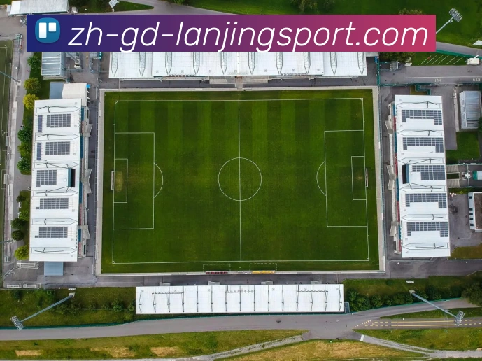 蓝鲸体育服务体系